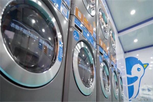 企鹅共享洗衣机